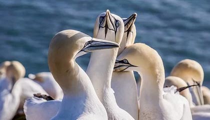 观战台：热刺战曼联+曼城火拼利物浦 拜仁冲击17连胜