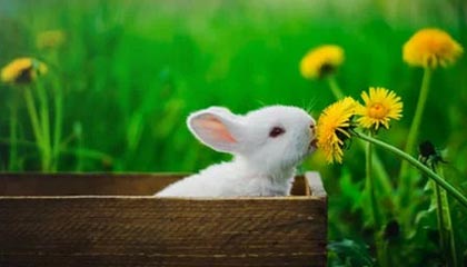 寒武纪Q3营收9258.11万元，归母净亏损3.22亿元