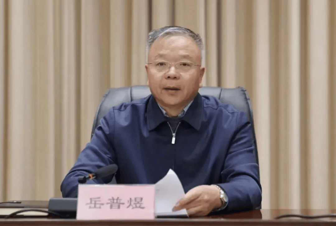 打虎！岳普煜被查